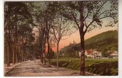 56275 Ak Wernigerode Mühlental mit Schloss 1911