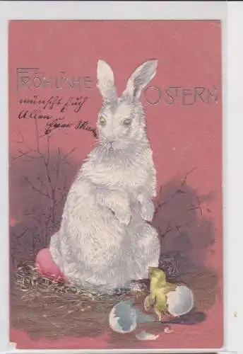 69366 Fröhliche Ostern Präge Ak Hase und Küken 1904