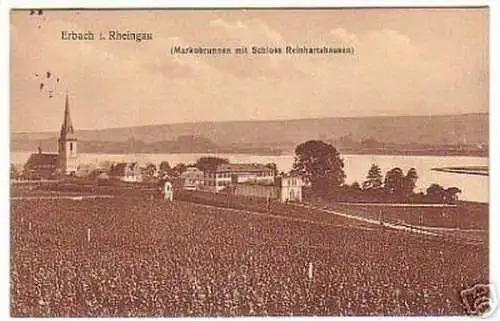 10147 Ak Erbach im Rheingau Totalansicht 1910