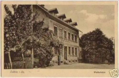 14785 Ak Colditz in Sachsen Waldschänke 1929