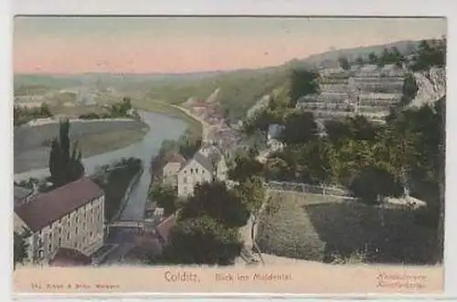 33958 Ak Colditz Blick ins Muldenthal 1907