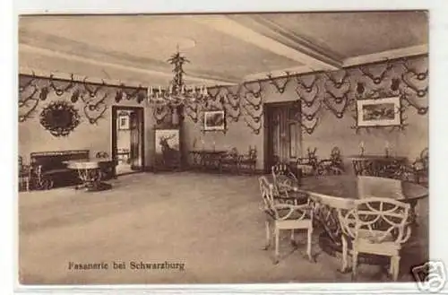 13140 Ak Fasanerie bei Schwarzburg 1926