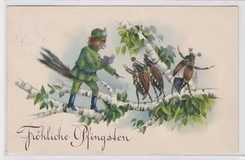 33119 Fröhliche Pfingsten Ak Vogel dirigiert Maikäfer Chor 1929