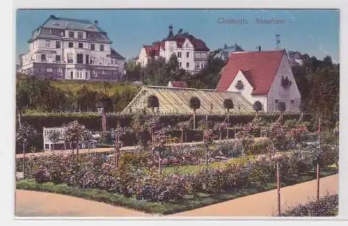 905878 Ak Chemnitz - Partie im Rosarium 1916