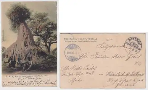 902056 Ak Termitenhügel Deutsch Süd-Westafrika Namibia Stempel Windhuk 1905