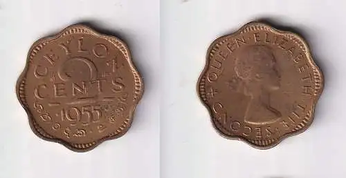 2 Cent Kupfer Münze Ceylon Sri Lanka 1955 Elizabeth (145006)