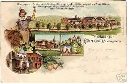 schöne Ak Plantagengut Göppersdorf bei Burgstädt 1906