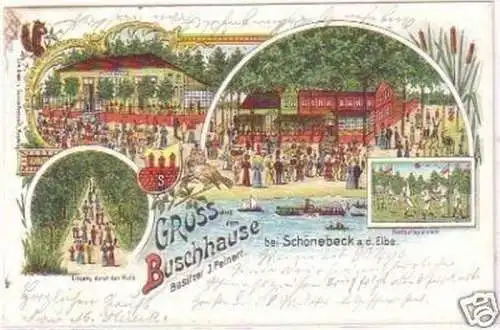 25874 Ak Litho Gruss a. d. Buschhaus b. Schönebeck 1901