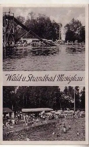 60469 Mehrbild Ak Wald- und Strandbad Mosigkau um 1940