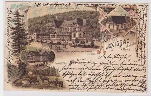 80032 Lithografie AK Gruss aus Alexisbad im Selkethal im Harz, Villa Hôtel 1898