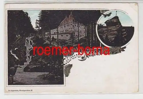 80066 Ak Lithografie Wernigerode Gruss von der Steinernen Renne um 1900