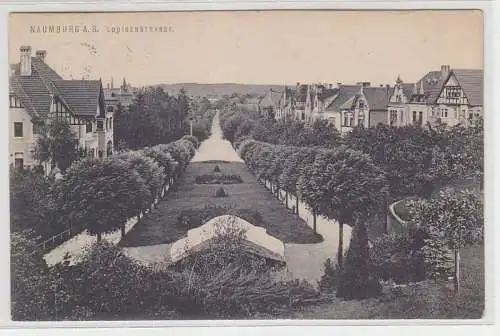 19916 Ak Naumburg an der Saale Louisenstrasse 1913