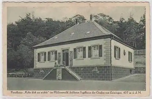 55907 Ak Forsthaus "Kehr dich an nichts" bei Bad Dürkheim um 1930