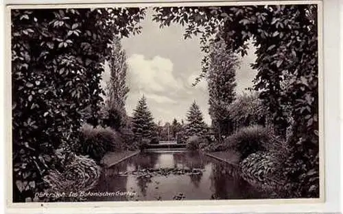 23164 Ak Gütersloh im botanischen Garten 1936