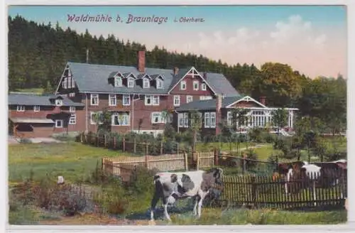 95433 Ak Waldmühle bei Braunlage im Oberharz 1913