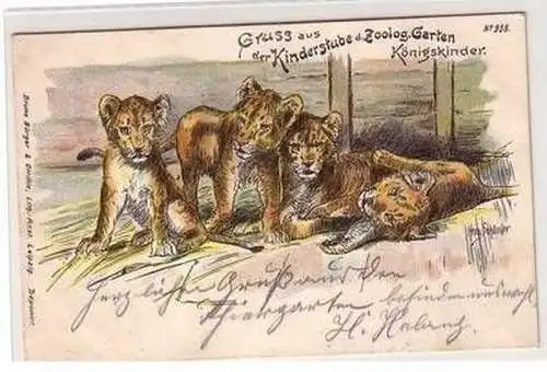 53477 Ak Lithographie Gruß aus der Kinderstube des ZOO Königskinder 1901