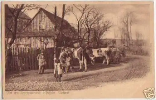 15607 AK Ochsenschmiede in Thossen Vogtland um 1910