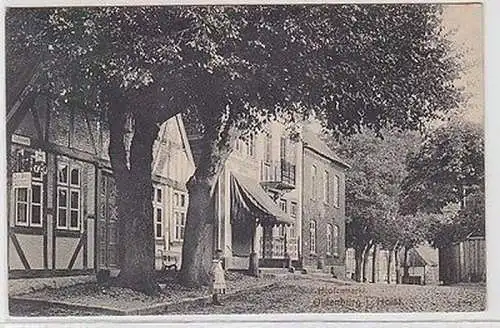 65059 Ak Oldenburg in Holstein Hopfenmarkt 1915