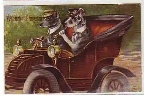 40488 Pfingst Ak 2 Hunde fahren Auto 1909