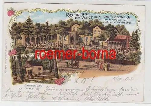 73808 Ak Lithografie Restaurant zum Waldhaus Fümmelser Holz b. Wolfenbüttel 1903