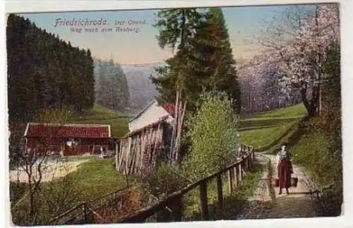 33810 Ak Friedrichroda Weg nach dem Heuberg um 1910