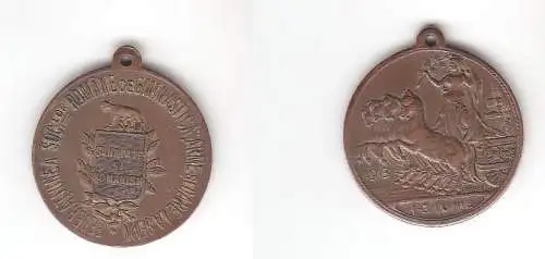 Alte Bronze Medaille "Sanatate si Romanism" 1 bis 3 Juni 1913 (113192)