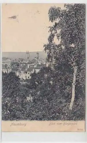 34777 Ak Naumburg Blick vom Bürgerpark 1908