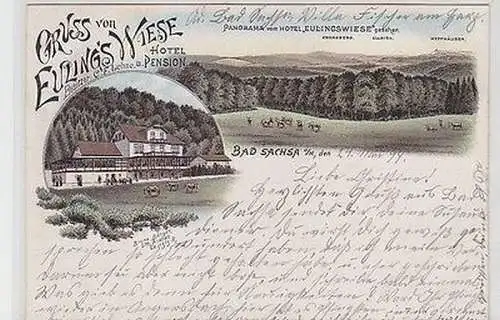 62748 Ak Lithografie Gruss von Euling´s Wiese Hotel u. Pension Bad Sachsa 1899