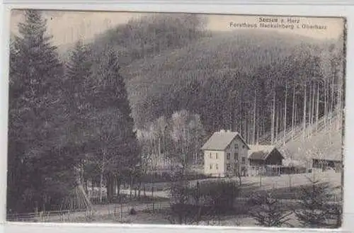 46115 Feldpost Ak Seesen Forsthaus Neckelnberg 1915