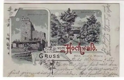 52828 Mondscheinkarte Gruss vom Hochwald 850 m über dem Meere 1901