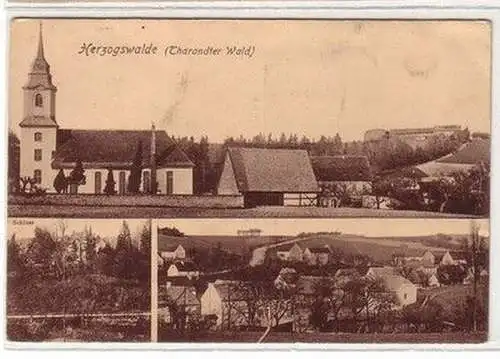 58896 Mehrbild Ak Herzogswalde (Tharandter Wald) Schloss usw. um 1920