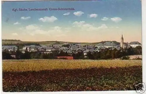 31401 Ak Kgl. Sächs. Landesanstalt Gross-Schweidnitz 1913