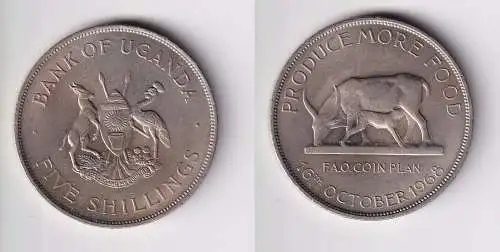 5 Shilling Kupfer Nickel Münze Uganda FAO 1968 vz/Stgl. (169851)