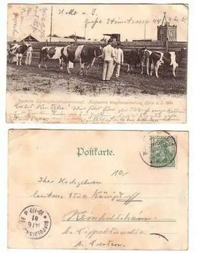 55625 Ak Halle Deutsche Landwirtschaftgesellschaft Wanderausstellung 1901