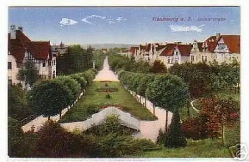 05806 Ak Naumburg an der Saale Louisenstraße um 1920