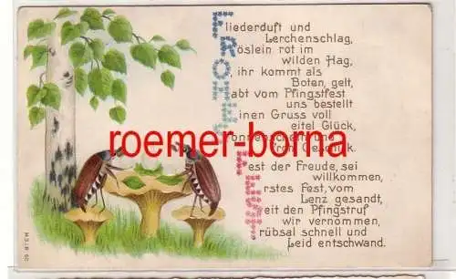 81255 geprägte Ak mit Reim zu Pfingsten, Maikäfer beim Picknick 1910