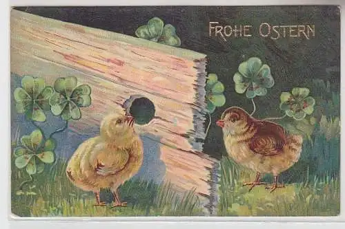 68817 Frohe Ostern Ak 2 Kücken schauen durch Holzbrett Glücksklee 1908