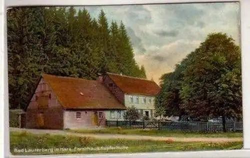 43848 Ak Bad Lauterberg Harz Forsthaus Kupferhütte 1909