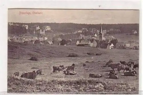 46837 Ak Braunlage Oberharz Totalansicht mit Kuhweide