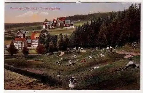 43166 Ak Braunlage (Oberharz) Verlobungswiese 1918