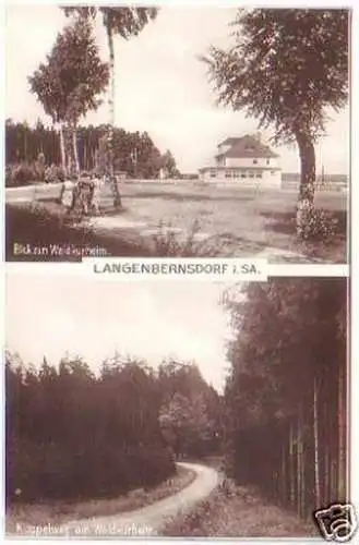 20293 Mehrbild AK Langenbernsdorf in Sa. 1934