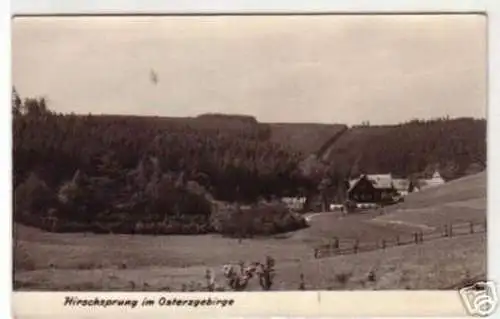 09217 Ak Hirschsprung im Osterzgebirge 1958