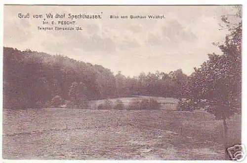04383 Ak Gruß vom Waldhof Spechthausen 1918