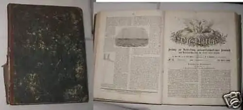 Zeitschrift "Die Natur" Jahrgang 1853 komplett