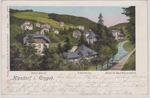 907600 Ak Kipsdorf im Erzgebirge Hotel Halali usw. 1905