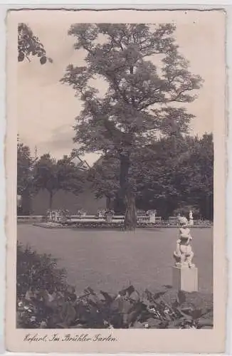 907870 Ak Erfurt im Brühler Garten 1940