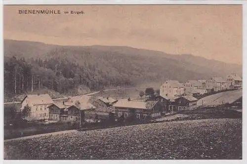 14554 Ak Bienenmühle im Erzgebirge Totalansicht um 1930