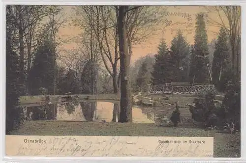 85746 Ak Osnabrück Goldfischteich im Stadtpark 1904