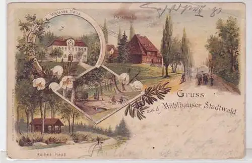 90742 Lithografie AK Gruss a.d. Mühlhauser Stadtwald, Peterhof Weisses Haus 1898