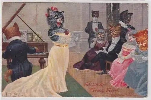 19122 Künstler Ak Arthur Thiele "Ich bin ein Weaner Model" Katze Konzert 1916